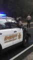 Deputies question a man for walking along Highway 49 with a pellet gun looking for rattlesnakes