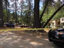 Big Oak Flat Homicide Investigation