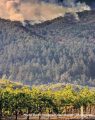Northern California Wine Country Wildfires