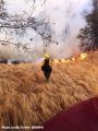 Cascade Fire in Yuba City