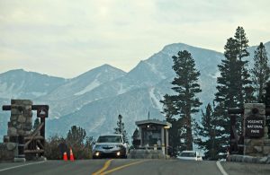 Yosemite National Park