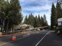 Caltrans tree crew fells giant ponderosa pine on Highway 4 Arnold Dec 28 2017