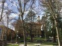 Courthouse Park In Sonora