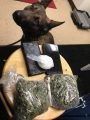 K9 Maverick with traffic stop drug bust stash Dec 3 2017
