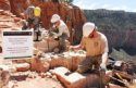 NPS maintenance workers at the Grand Canyon