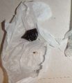Heroin found on Ryan E. Morrison