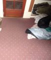 Laundry room of the home where blankets were found made into bed