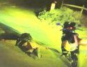 Arrest scene of Joel Thomas Perkins