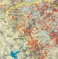 Cal Fire Tree Mortality Map