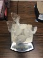Drugs seized