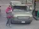 Alleged Purse Thief
