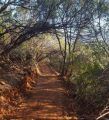 Dragoon Gulch Trail addition