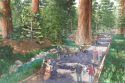 Mariposa Grove of Giant Sequoias restoration project at Yosemite