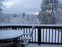 March Snow in Groveland