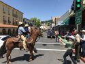 Coyote Sam In Sonora