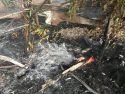 CAL Fire Dickenson Fire