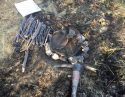 Campfire that caused Green Fire