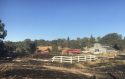 Jenny Lind Vegetation Fire