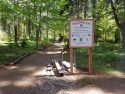 Three Senses Trail Renovation at Calaveras Big Trees State Park