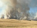 Waverly Fire