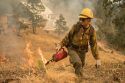 A Tahoe hotshot lighting during burn operation on Ferguson Fire