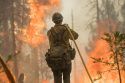 Ferguson Fire Response