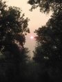 Ferguson Fire