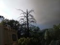 Ferguson Fire