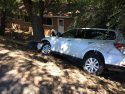 Vehicle into a tree off HWY 49