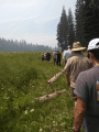 Touring Coyote Meadow