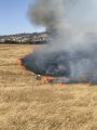 Fighting Waverly Fire near Linden