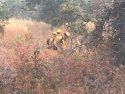 Extinguishing Grass Fire On Highway 12