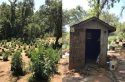 Raided illegal marijuana grow in Calaveras County