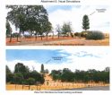 Pine tree camouflaged cell tower proposal