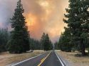 Donnell Fire