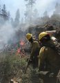 Donnell Fire