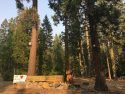 Donnell Fire