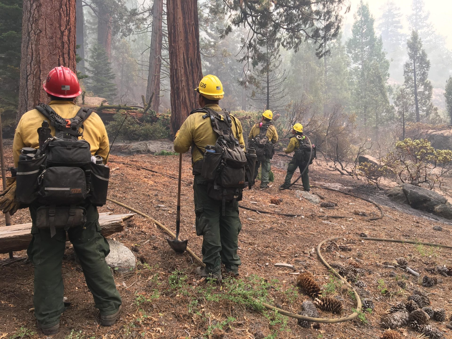 Update: 25-Percent Containment Reached On Donnell Fire - myMotherLode.com