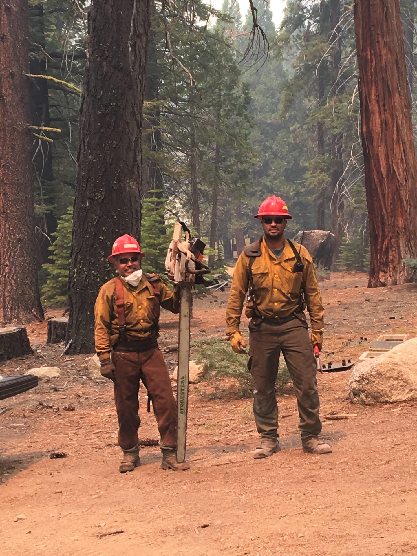 Additional Firefighters Arrive To Fight Donnell Fire - myMotherLode.com