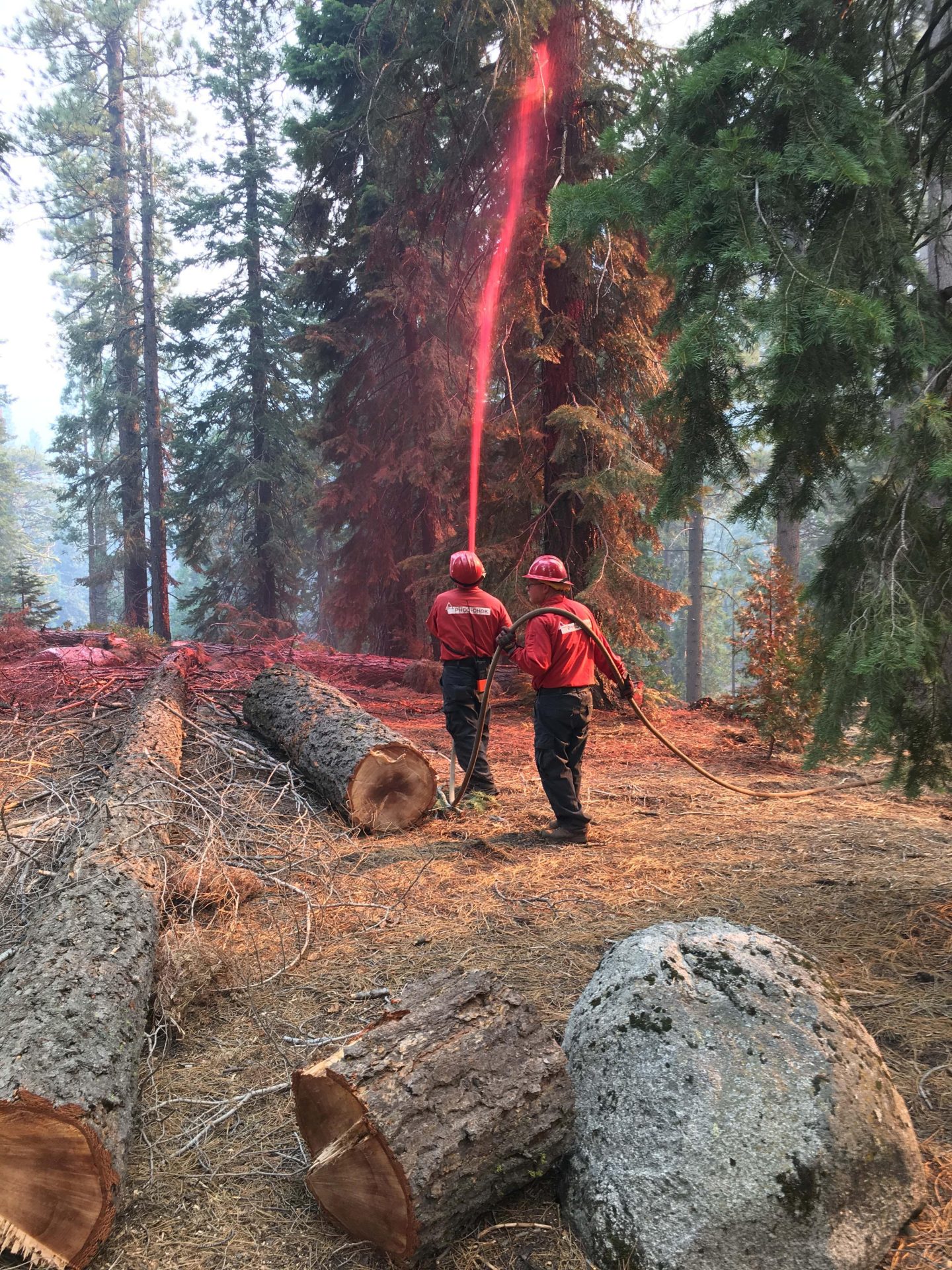 Additional Firefighters Arrive To Fight Donnell Fire - myMotherLode.com