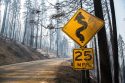 Ferguson Fire Damge