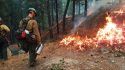Ferguson Fire