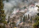 Donnell Fire