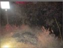 Scene of arson fires started on Tuolumne Road North