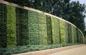 living wall