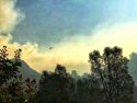 Parrotts Fire