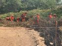 Vegetation Fire Near Vallecito
