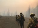 Donnell Fire
