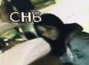Woman suspected of Sonora burglary