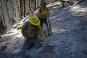 BAER team members from the National Park Service on Ferguson Fire burn scar